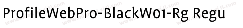 ProfileWebPro-BlackW01-Rg Regular字体转换